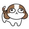 Cachorro Shih 1 Mov 8