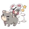 Cat and dog 8