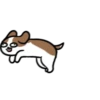 Cachorro Shih 1 Mov 9