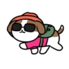 Cachorro Shih 1 Mov 10