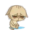 Choro 7