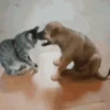 Dogs and cats 1 6