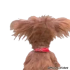 ️Hacker T dog and Dodge MOV ️ 10