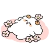 ️Beautiful sheep MOV 8