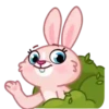 Mia Bunny 12