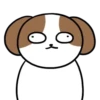 Cachorro Shih 1 Mov 13