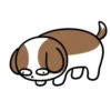 Cachorro Shih 1 Mov 14