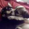 Besos ,Abrazos Mov 14