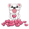 Cat and dog 15