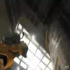 Halo Infinte Mov 22