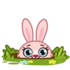 Mia Bunny 15