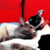 Besos ,Abrazos Mov 22