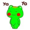 Green cat 13