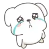 Choro 17