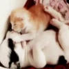 Besos ,Abrazos Mov 24