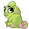 Chameleon 23