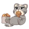 Cat and dog 16