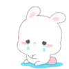 Choro 19