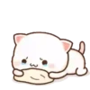 Choro 20