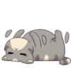 Cat and dog 18