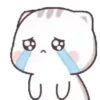 Choro 21