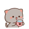MOCHIS CAT Extra"R" MOV 18
