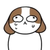 Cachorro Shih 1 Mov 20