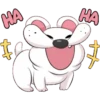 Cat and dog 21