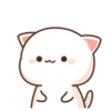 MOCHIS CAT Extra"R" MOV 19