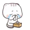 Choro 24