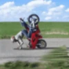 Motos ️ 1 Movi 23