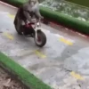 Motos ️ 2 Movi 24