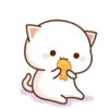 MOCHIS CAT Extra"R" MOV 22