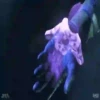 Halo Infinte Mov 28