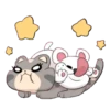 Cat and dog 23