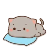 MOCHIS CAT Extra"R" MOV 23