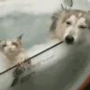 Dogs and cats 1 28