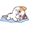 Choro 29