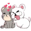 Cat and dog 24