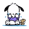 POCHACCO 5