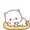 MOCHIS CAT Extra"Ñ" MOV 5