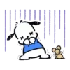 POCHACCO 6