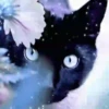 Gatos Neon - 4 Mov.1712 5