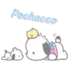 POCHACCO 7