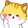 🧡Orange Cat Mov.🐱 5