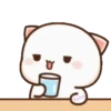 MOCHIS CAT Extra"P" MOV 5