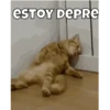ESTOY DEPRE