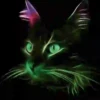 Gatos Neon - 4 Mov.1712 8