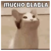MUCHO BLABLA