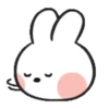 LINE FRIENDS mini  Mov 8